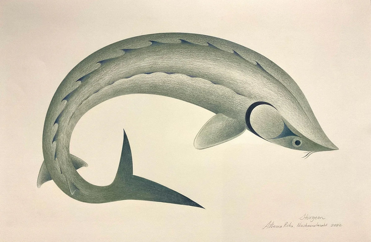 Sturgeon