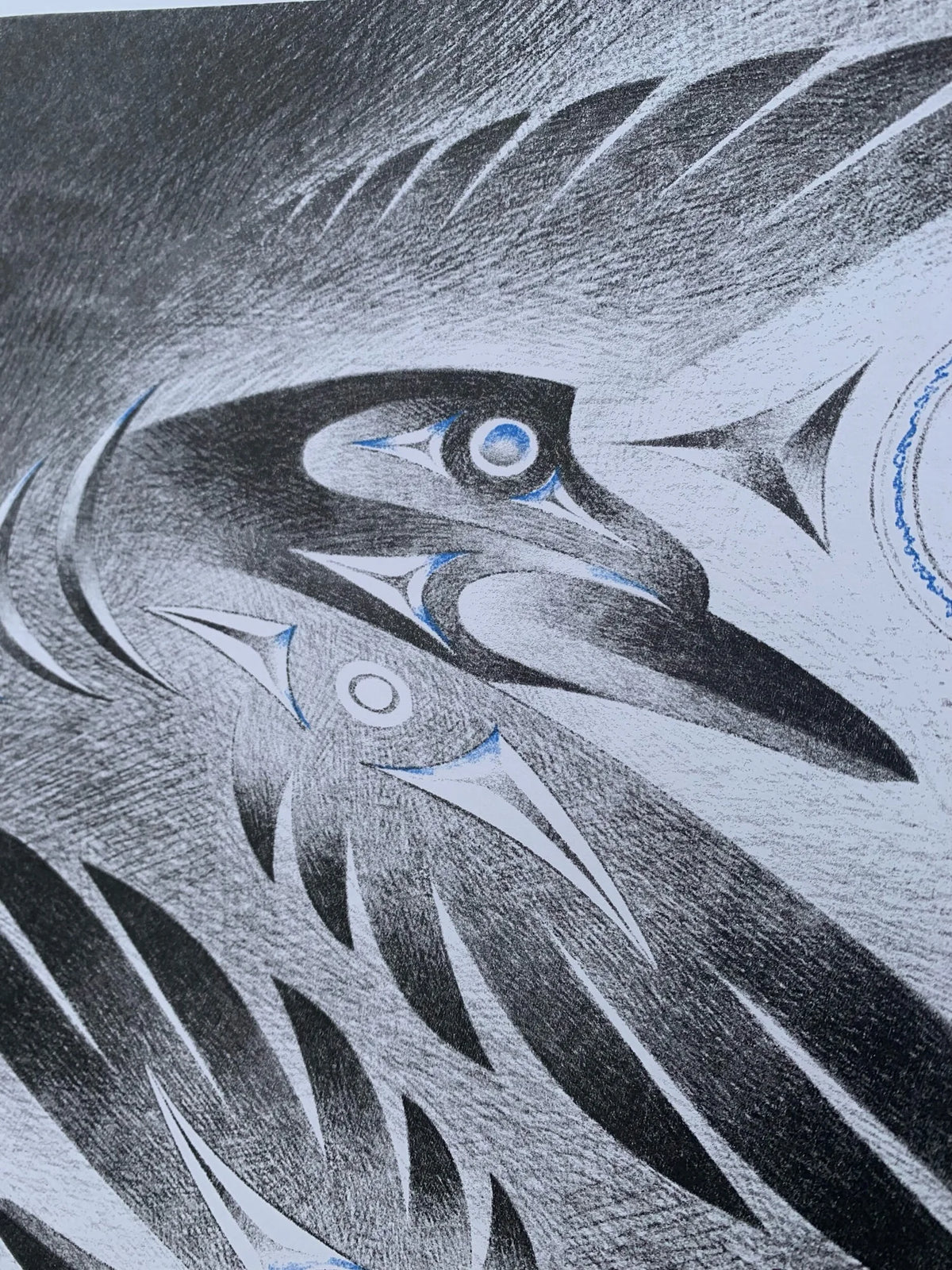 Ravens