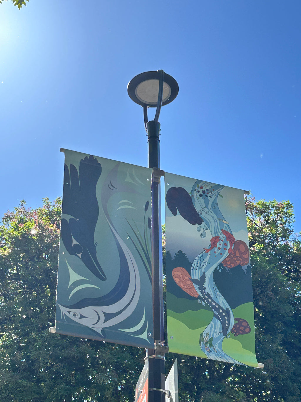 Fort Langley Banner
