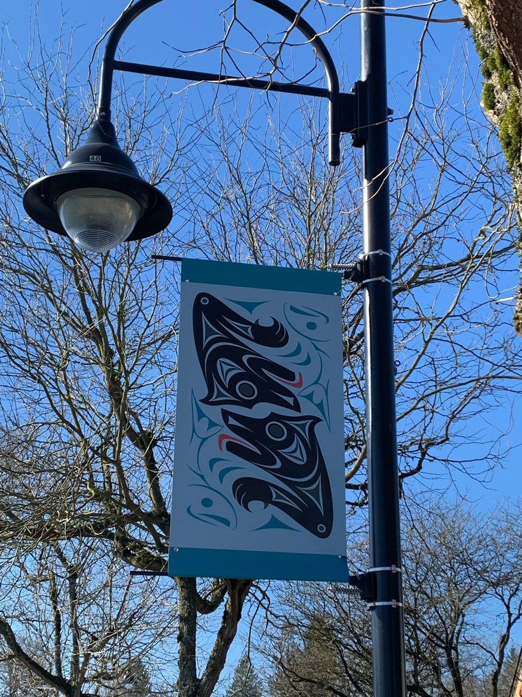Kwantlen Banners