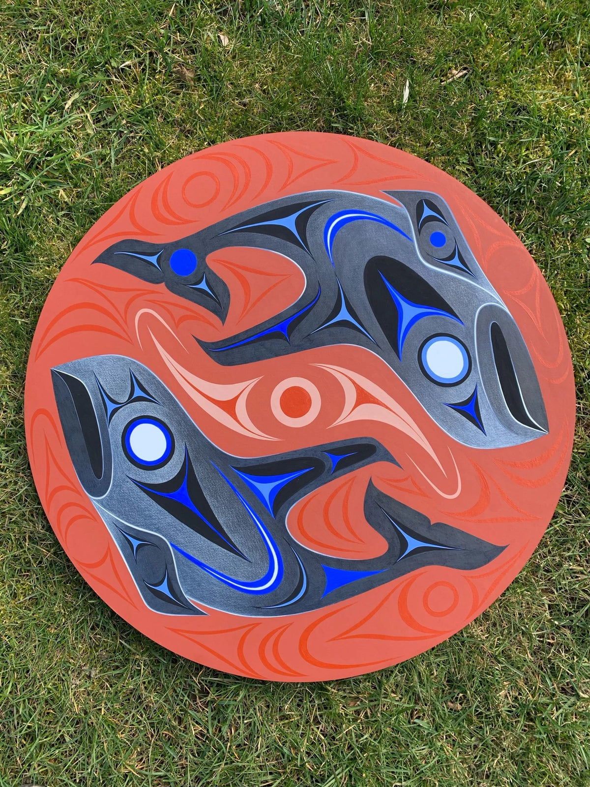 Blue Blackfish
