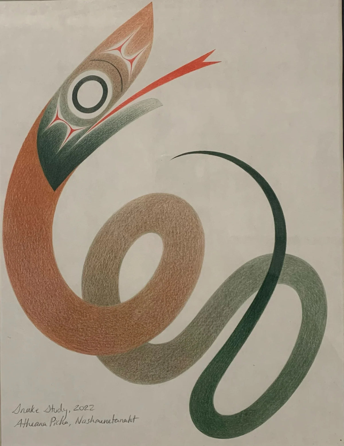 Serpent Study
